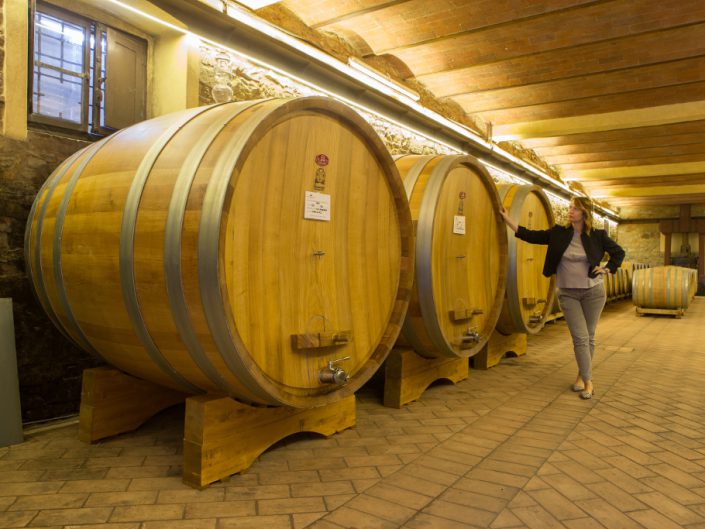 Oak Barrels for the Maturation of wine